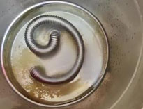 商用深夜网站免费观看設備專家和你聊聊水垢的危害及解決方法